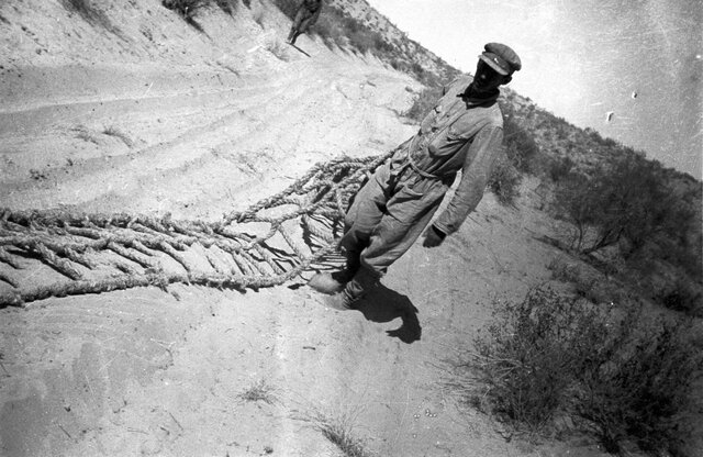 Даешь автомобиль! История советской автомобилизации 1920–1930-х годов - 4